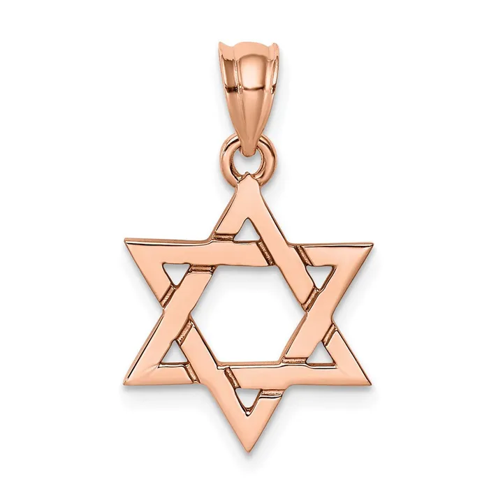 Goldia Necklaces 14k Rose Gold Rose Polished Star of David Pendant